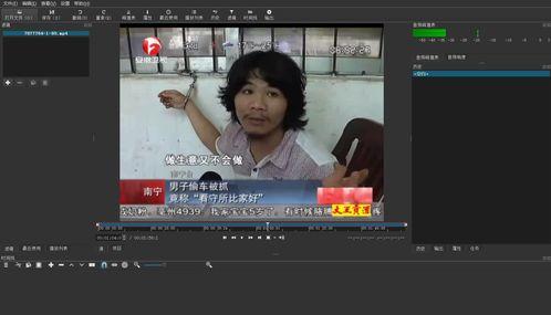 国产东西好的视频软件,探寻优质国产内容的宝藏之地  第2张