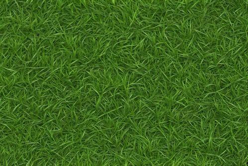 嫩草视频国产免费下载,国产免费下载，畅享高清影视盛宴  第3张