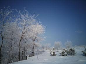国产手机怎么拍雪景视频,国产手机雪景视频拍摄技巧解析