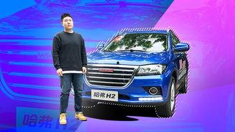 国产h2保养视频大全,视频大全解析