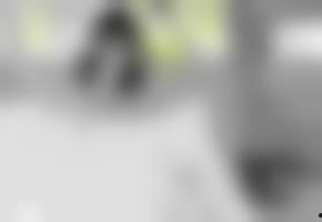 国产美女露脸在线视频