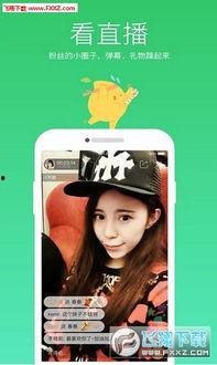 国产野战直播视频无广告,真实战场体验再现