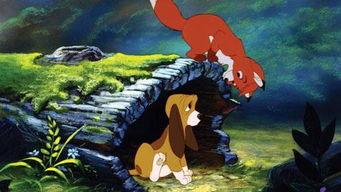 狐狸打仗视频动画片国产,狐狸大战的传奇篇章