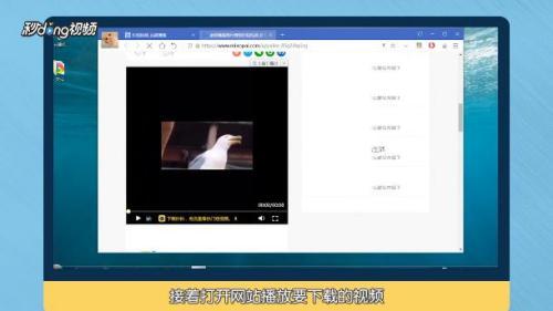 国产秒拍视频网盘下载,国产短视频平台的便捷获取之道