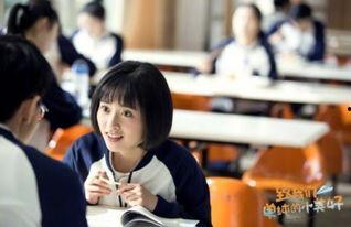 国产校园剧视频大全,国产校园剧视频大全精彩回顾