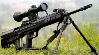 国产26万狙击枪视频,性能卓越，引领国产武器新篇章