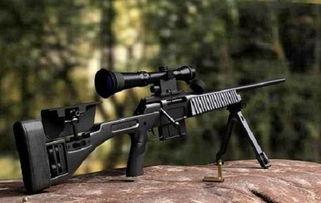 国产26万狙击枪视频,性能卓越，引领国产武器新篇章