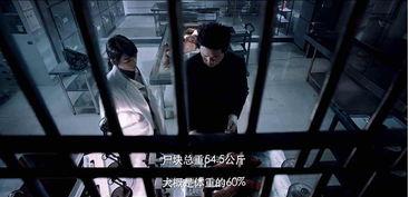 最精彩的国产小视频,视觉盛宴，情感共鸣