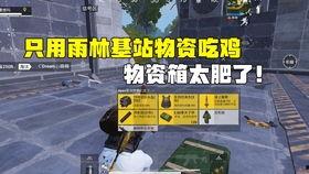 挑战国产吃鸡视频,国产力量崛起，竞技盛宴来袭