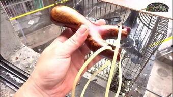 国产羚羊弹弓视频播放,弹射力惊人，体验极限户外乐趣